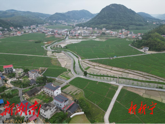 安山乡车头村:多样打造“烟稻公园”_邵阳头条网